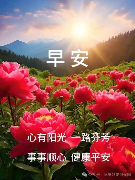 按我可連結至更清楚的圖片